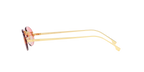 Gold Shiny
