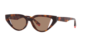 Tortoise  - Brown