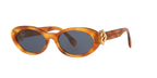 Tortoise