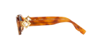 Tortoise