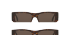 Tortoise