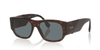 Tortoise Black