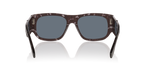 Tortoise