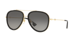 Tortoise  - Grey Gradient