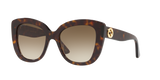 Tortoise  - Brown