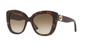 Tortoise  - Brown