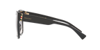 Black Shiny