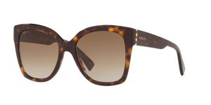 Tortoise  - Brown