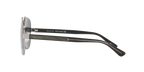 Silver Shiny
