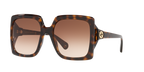 Tortoise