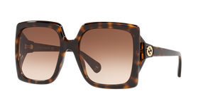 Tortoise  - Brown