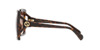 Tortoise