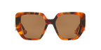 Tortoise