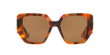 Tortoise