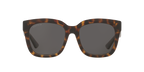 Tortoise