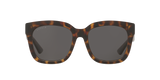 Tortoise