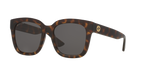 Tortoise