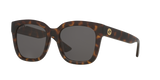 Tortoise
