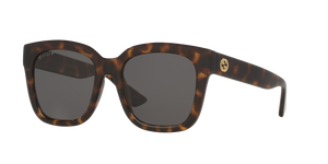 Tortoise  - Brown