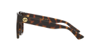 Tortoise