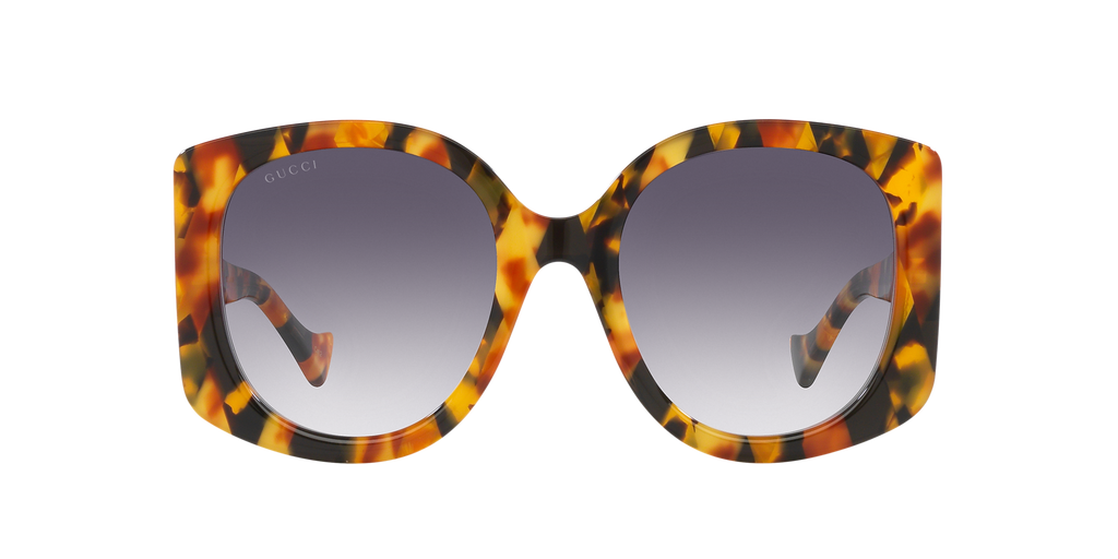 Tortoise Silver