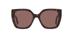 Tortoise