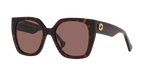 Tortoise