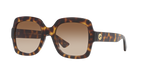 Tortoise