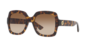 Tortoise  - Brown