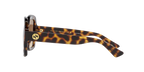 Tortoise