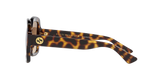 Tortoise