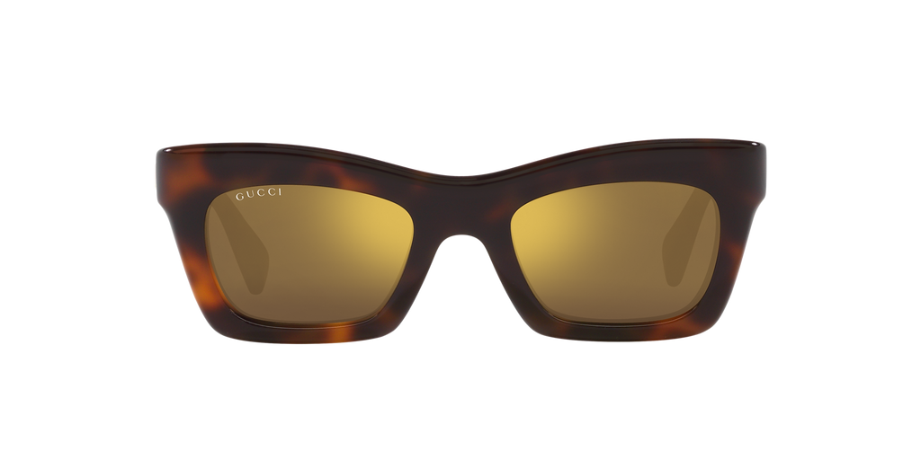 Tortoise
