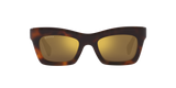 Tortoise