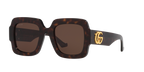 Tortoise