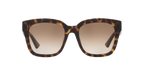 Tortoise