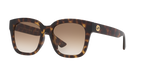 Tortoise