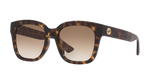 Tortoise