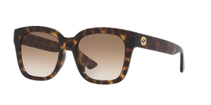 Tortoise  - Brown