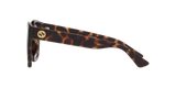 Tortoise