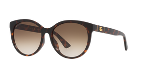 Tortoise  - Brown
