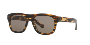 Tortoise  - Brown