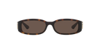 Tortoise