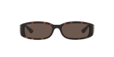 Tortoise