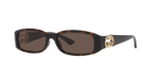 Tortoise