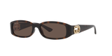 Tortoise