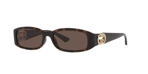 Tortoise  - Brown