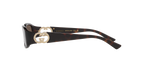 Tortoise