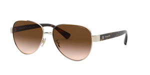 Light Gold  - Brown Gradient