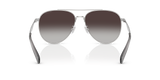 Shiny Silver