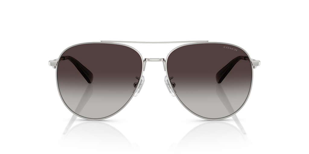 Shiny Silver
